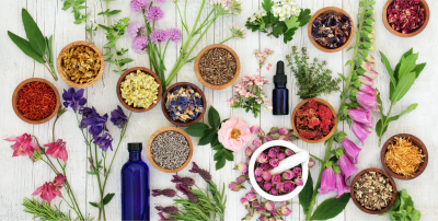 Read more about the article Aromatherapy Massage: Common Essential Oils and Their Benefits