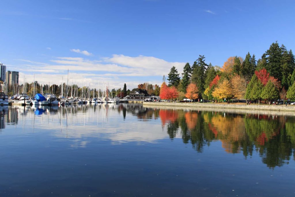 Vancouver Massage And Wellness