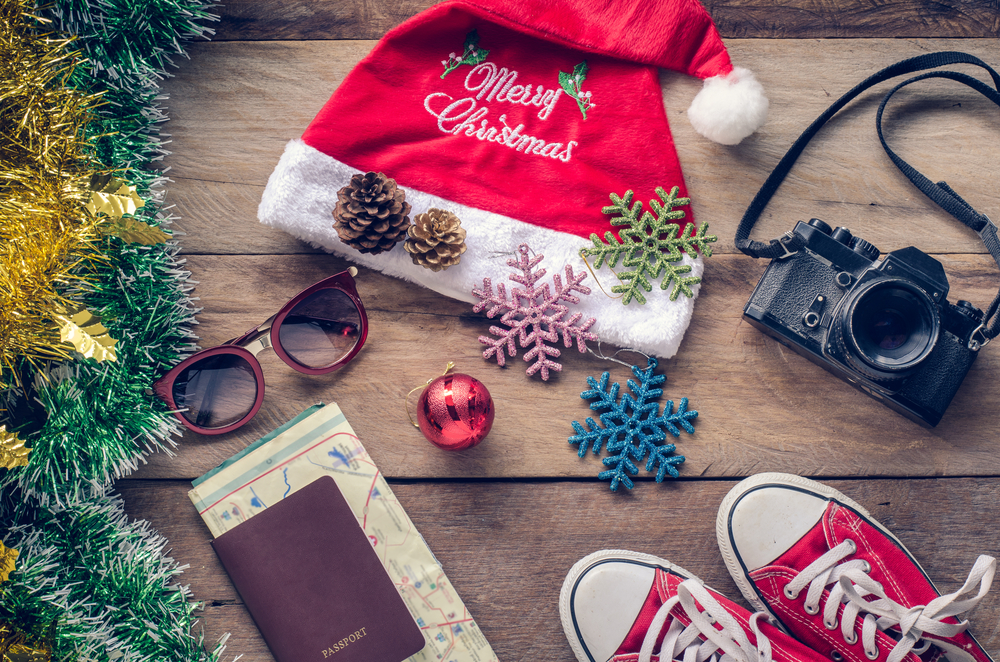 Read more about the article Make Holiday Travel Painless With These 8 Tips